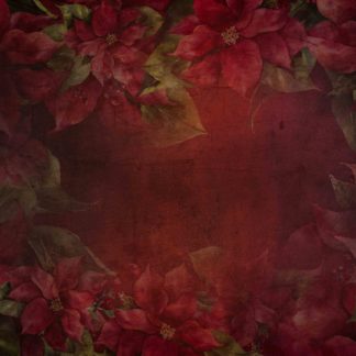 ELITE 2 Rich Texture Berries and Poinsettia